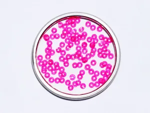Deep Pink Transparent Centre Hole Bowl Plastic Sequins(Wholesale)