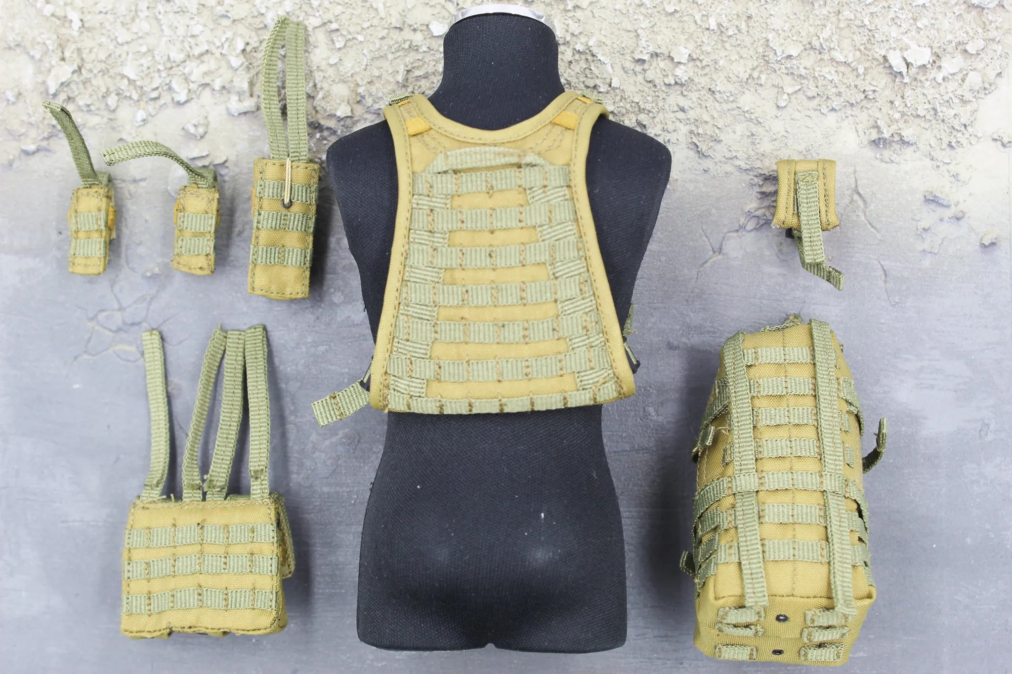 Marc A. Lee - Seal Team 3 - Tan MOLLE Plate Carrier & Pouch Set